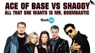 Ace of base Vs Shaggy  All that she wants is Mr Boombastic  Paolo Monti mashup 2023 [upl. by Nhguavaj]