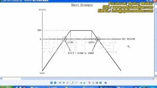 期權行者  期權教學第九章 組合買賣策略IV [upl. by Chavaree345]
