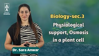 Biologysec3  Physiological support Osmosis in a plant cell [upl. by Ahnavas]