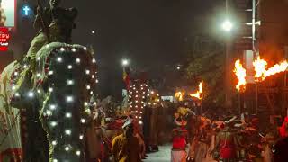 Esala Perahera 2024 4 esalaperahera srilanka kandy [upl. by Carlee569]