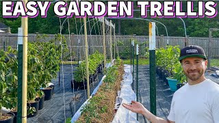 This Easy Cheap GARDEN TRELLIS Will Fit Almost Anywhere [upl. by Cigam17]