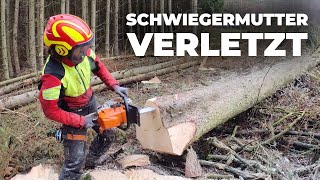 Nur noch allein im Wald Bäume fällen und Holzrücken [upl. by Eel]