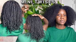 Grow your hair with MINI TWISTS Mini Twists Tutorial on Type 4 NATURAL HAIR [upl. by Markson]