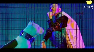 GDRAGON지드래곤  BULLSHIT개소리 Music Video amp Concert Mash up FMV ENG SUB KING OF KPOP LEGEND 권지용 [upl. by Arocahs]