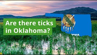 Are There Ticks in Oklahoma Most Common Ticks Found [upl. by Rosana]