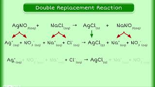 Introduction to Net Ionic Reactions [upl. by Eitsirk]