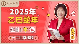 麦玲玲师傅详解2025蛇年运程：生肖牛！事业运、财运、人际关系、爱情、婚姻、健康全解析！ [upl. by Ahcarb]