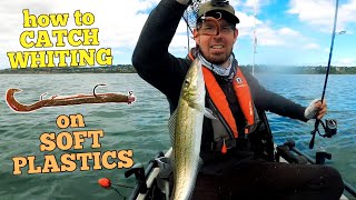 How to Catch Whiting on Soft Plastics with Fishing Mad [upl. by Janicki]