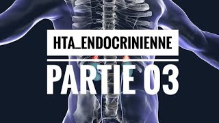 HTA Endocrinienne  partie 03 Hyperminéralocorticisme [upl. by Rudolph103]