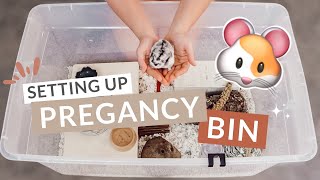 How To Set Up A Pregnancy Cage For Pregnant Hamsters EVERYTHING YOU NEED TO KNOW [upl. by Payson]