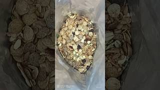 Yogabar Fruit Nuts amp Seeds Muesli  Meesho meesho awrempire [upl. by Viola]