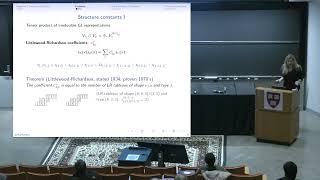 CDM 2023 Greta Panova Computational complexity in algebraic combinatorics I [upl. by Akirdnwahs]