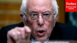 JUST IN Bernie Sanders makes EPIC speech calling for raise in minimum wage [upl. by Bethesde]