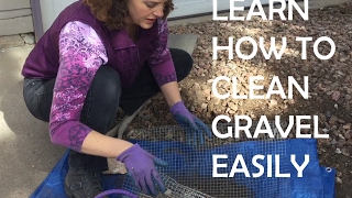 How to Clean Dirt Leaves and Pine Needles Out of Decorative Gravel and Landscape Rocks [upl. by Llain]