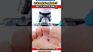 Foot👣skin चमड़ी undar the microscope skins view facts shortvideo shorts short shortsvideo [upl. by Spense]