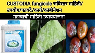 CUSTODIA fungicide कस्टोडीया बुरशीनाशका बद्दल संपूर्ण माहितीcustodiafungisidetomatograpeटोमेटो [upl. by Aniela245]