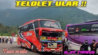 Telolet Ular Bris Trans dan SJM Trans [upl. by Jerrylee]