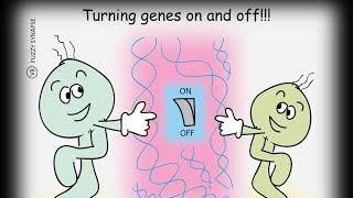 Class 28 What are OPERONS Introduction to Operons [upl. by Eintruok612]