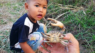 Crabs Digging In The Rice Field With Ancient Equipment  Crabs In Holes [upl. by Raknahs623]