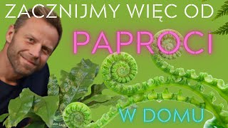 PAPROCIE🌿 zacznijmy więc od nich najlepsze gatunki i pielęgnacja [upl. by Ruggiero]