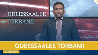 Ethiopia  Esat Odeessalee Torbanii 10 November 2024 [upl. by Ciprian]