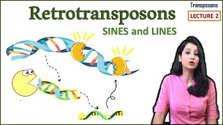 Retrotransposons II LINES SINES II Transposons Part 2 [upl. by Alfeus895]