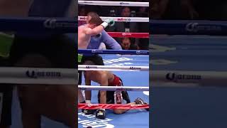 Canelo Alvarez Knockouts [upl. by Egide336]