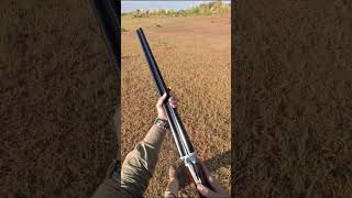 I went on a quail hunt with my new side by side shotgun quailhunting huntingseason youtubeshorts [upl. by Marka]