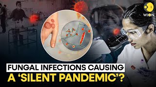 Scientists Warn Deadly Fungal Infections Are Causing A Silent Pandemic  WION Originals [upl. by Elvin]