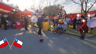 CHINCHINEROS EN CONFLUENCIA REGIÓN DE ÑUBLE 🇨🇱 larutadelasratas ratamovil tradiciones chile [upl. by Burkhardt]