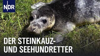 Artenschutz und Eulenzucht in Nordfriesland  Die Nordreportage  NDR Doku [upl. by Sotnas]