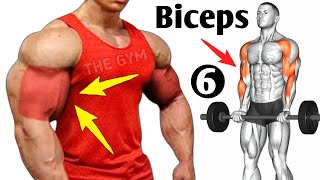 6 Best Exercises Bigger Biceps At Gym  Biceps Workout [upl. by Read786]