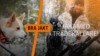 JAKT MED TRÄDSKÄLLARE  BRA JAKT [upl. by Nigrom638]