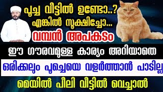 പൂച്ചയെ വളർത്തുന്നവർ ഗൗരവമായി ഈ കാര്യം ശ്രദ്ധിക്കുക വമ്പൻ അപകടം islamik Darul mubeen [upl. by Miuqaoj970]