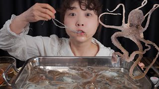 귀한 꽃낙지라고 들어봤슈small octopus🐙Mukbang [upl. by Benil]