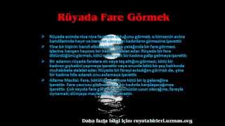 Rüyada Fare Görmek [upl. by Ogdan]