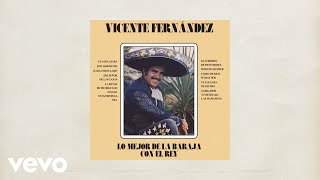 Vicente Fernández  Las Mañanitas Letra  Lyrics [upl. by Vera]