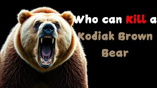 Who Can Actually Defeat a Kodiak Bear [upl. by Nnovahs]