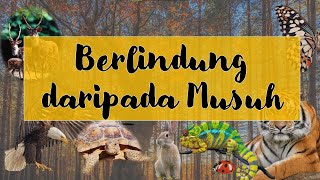 SAINS TAHUN 5  KEMANDIRIAN SPESIES HAIWAN  BERLINDUNG DARIPADA MUSUH [upl. by Lory]