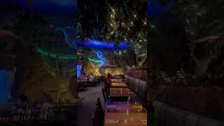 Rainforest Cafe Thunderstorm Disney Springs Orlando [upl. by Oivatco494]