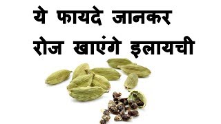 इलायची के फायदे  Elaichi ke Fayde in Hindi [upl. by Garin]