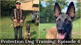 Teaching My Son To Train Protection Dogs Episode 4  Malinois amp Dutch Shepherd [upl. by Eittam]