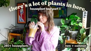 Full Houseplant Tour 2024 🎉🌿 280 plants in my small house PART 1 [upl. by Egroj]