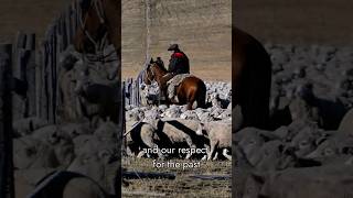 At Estancia Cerro Guido we honour those who forged the history of Patagonia patagonia chile [upl. by Ver799]