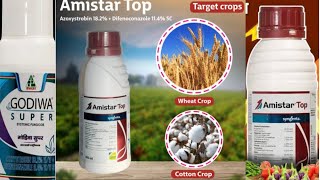 Amister Top fungicide  Godiwa Super fungicide  best fungicide for paddy  ধানের ঝলসা ও খোলা পচা । [upl. by Hubing]