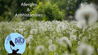 How Allergies and Antihistamines work What is competitive inhibition [upl. by Onej]