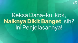 Reksa Dana Kamu Naiknya Dikit Ini Penjelasannya [upl. by Even]