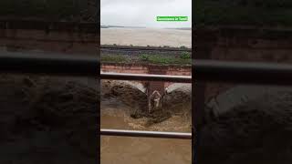 Palar river water flowing  Thiruvalam bridge in across river Ponnai in Vellore district Tamil Nadu [upl. by Magdalena]