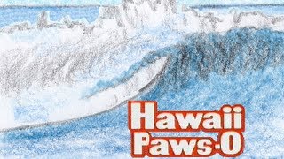 Hawaii PawsO [upl. by Nilyarg]