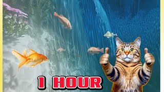 😺CAT GAMES l CATCHING FISH 1 HOUR VERSION VIDEOS FOR CATS TO WATCH catgames [upl. by Anjela]